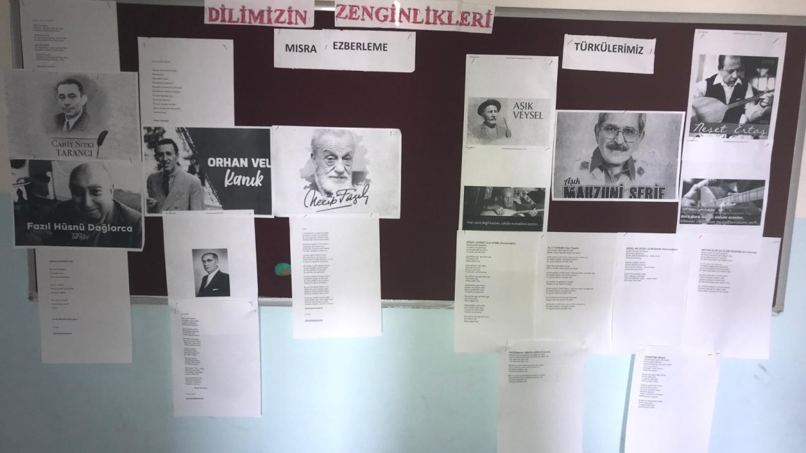 	DİLİMİZİN ZENGİNLİKLERİ PROJESİ